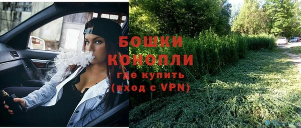 PSILOCYBIN Алексеевка