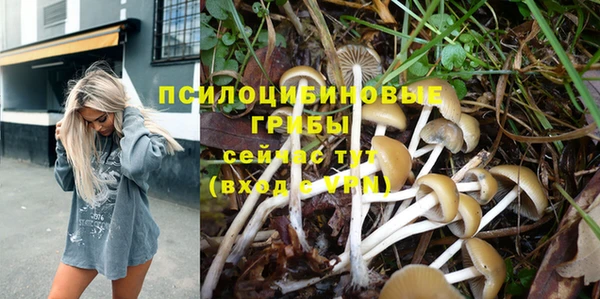дурь Алзамай
